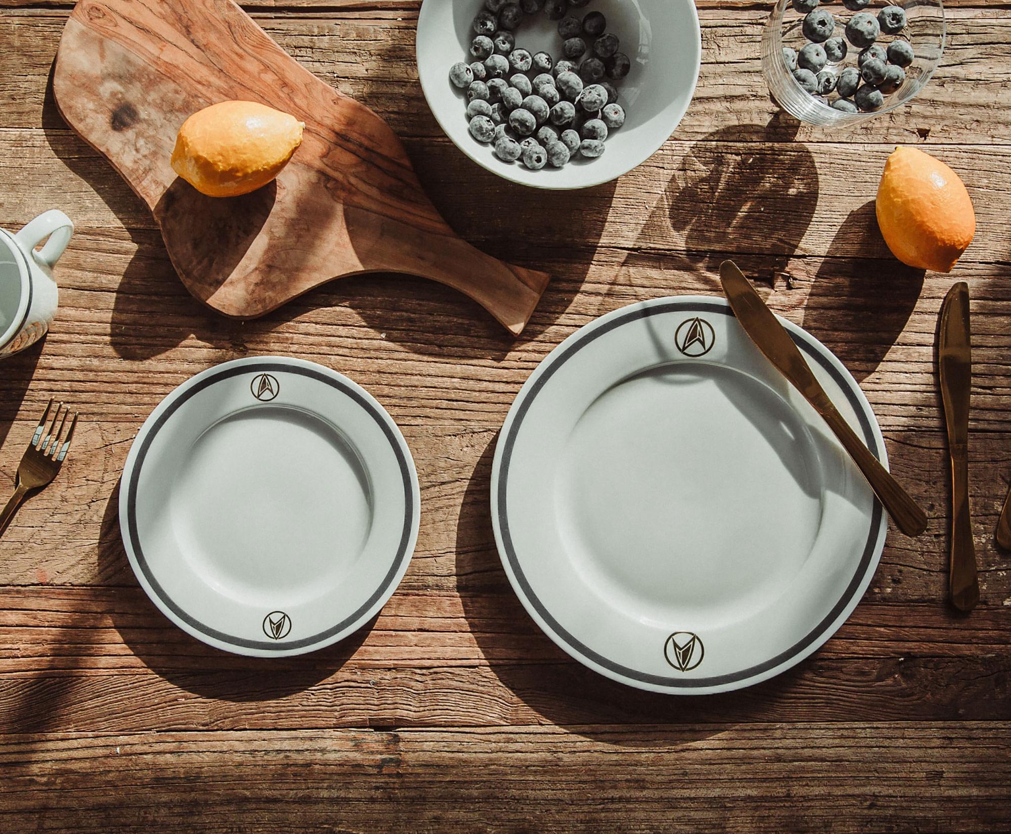 Star Trek: Picard 25th Century 16-Piece Ceramic Dinnerware Set Replica