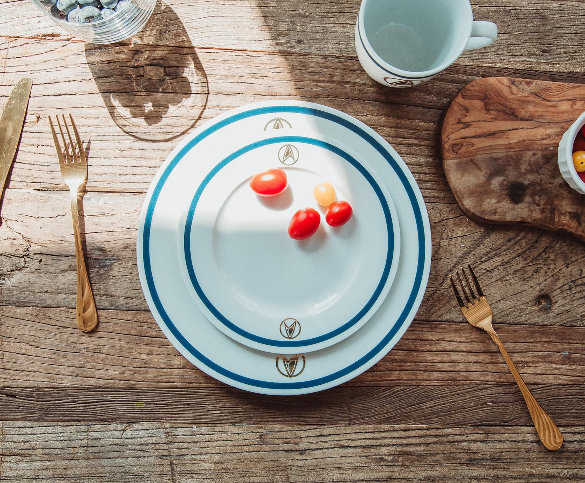 Star Trek: Picard 25th Century 16-Piece Ceramic Dinnerware Set Replica