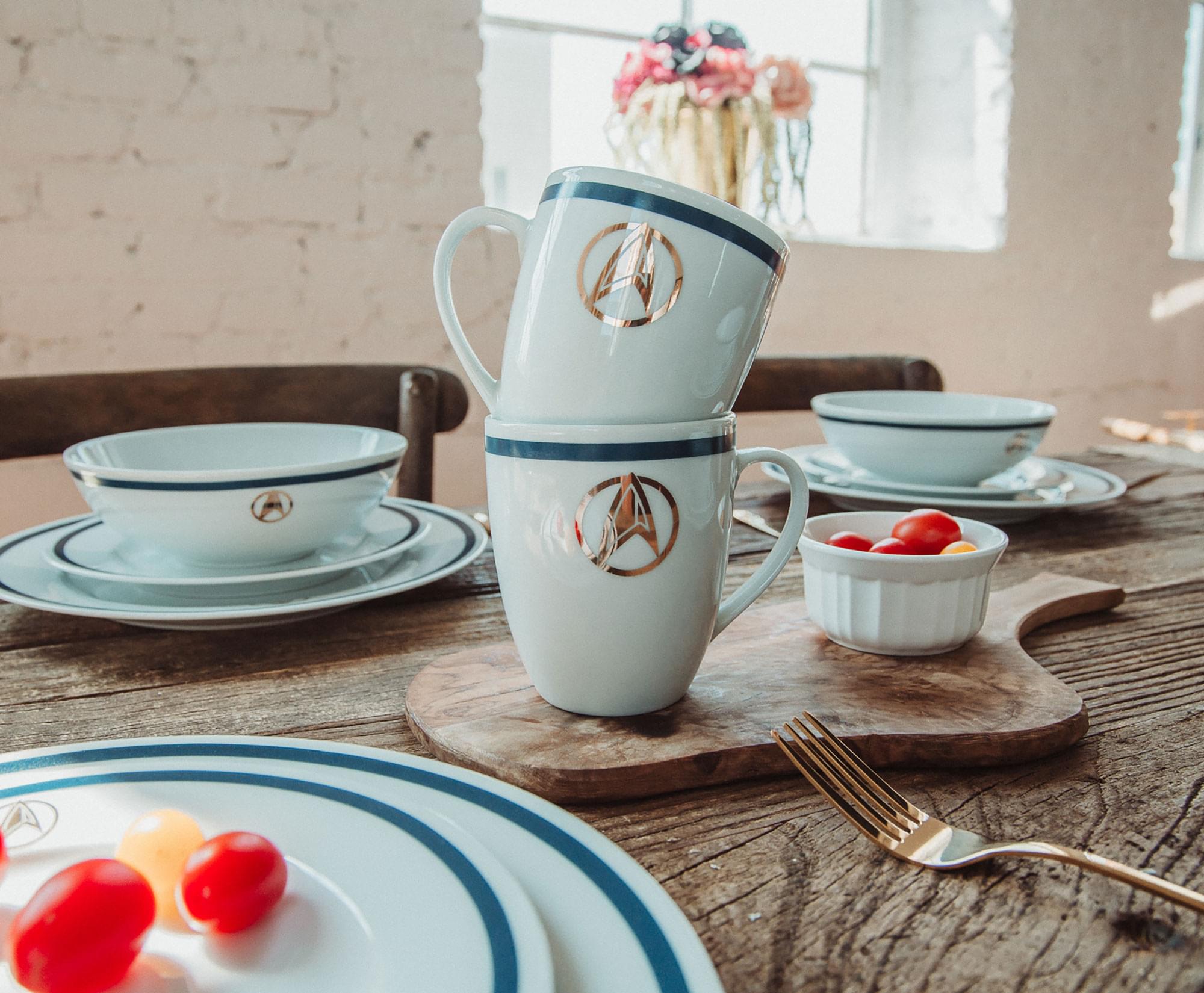 Star Trek: Picard 25th Century 16-Piece Ceramic Dinnerware Set Replica