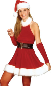 Santa's Inspiration Costume Adult
