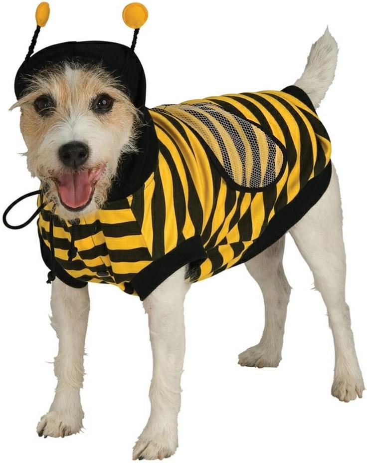 Bumblebee Bug Pet Halloween Costume