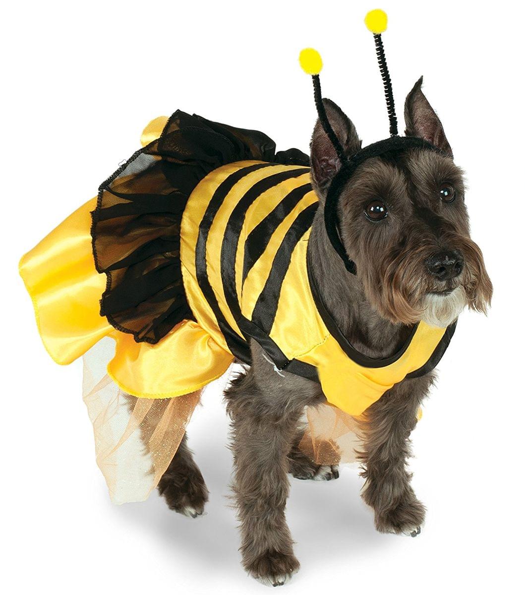 Buzz Buzz Bumblebee Pet Costume Dress