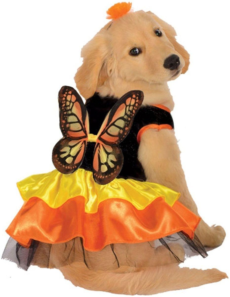 Butterfly Pet Halloween Costume