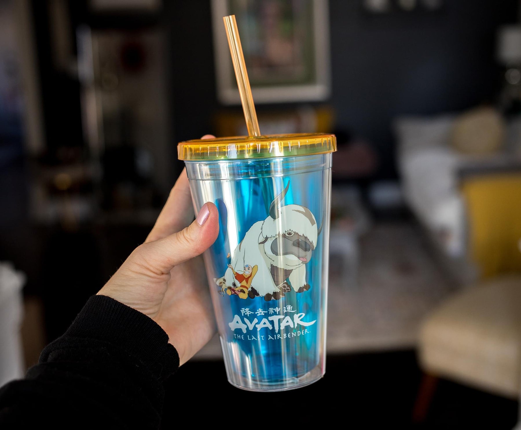 Avatar: The Last Airbender Aang and Appa Carnival Cup With Straw | 16 Ounces
