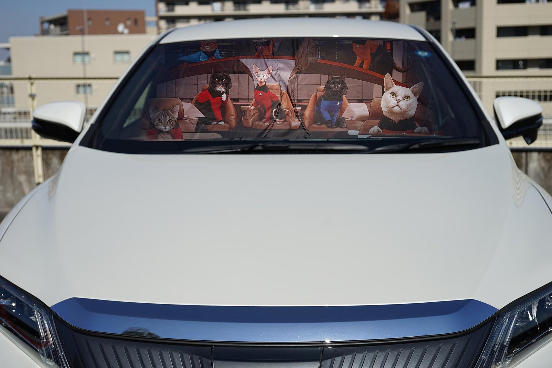Star Trek: The Next Generation Cats Sunshade for Car Windshield | 64 x 32 Inches
