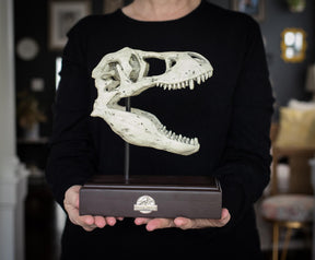Jurassic World 9x8 Inch Tyrannosaurus Rex Skull Resin Replica