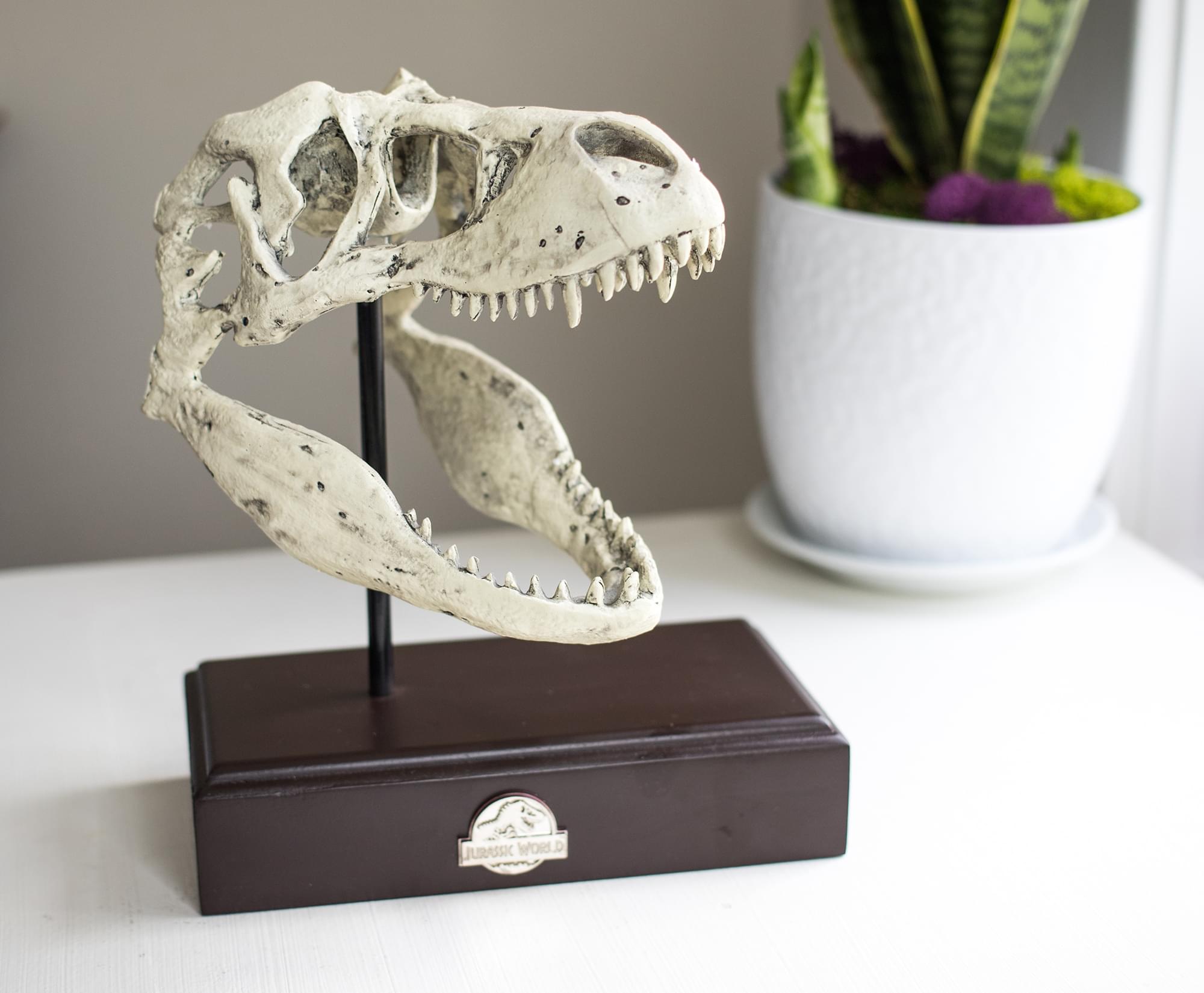 Jurassic World 9x8 Inch Tyrannosaurus Rex Skull Resin Replica