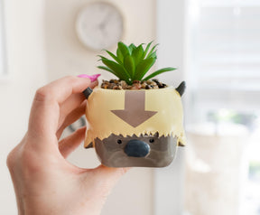 Avatar: The Last Airbender Appa 6-Inch Ceramic Planter With Artificial Succulent