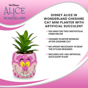 Disney Alice In Wonderland Cheshire Cat Mini Planter with Artificial Succulent