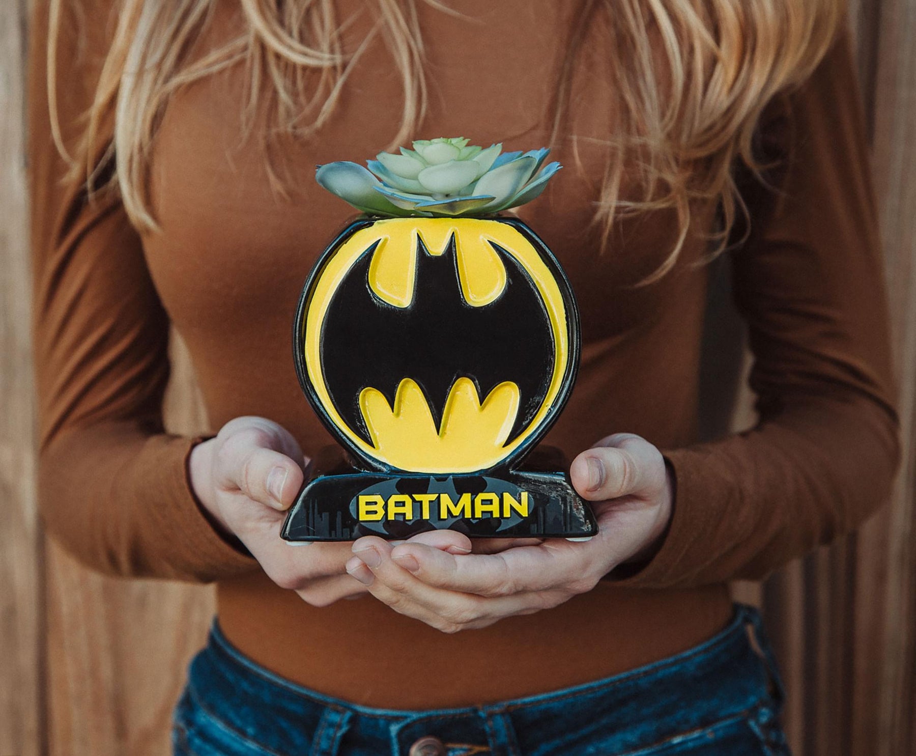 Batman Bat Logo 9-Inch Ceramic Planter With Artificial Succulent