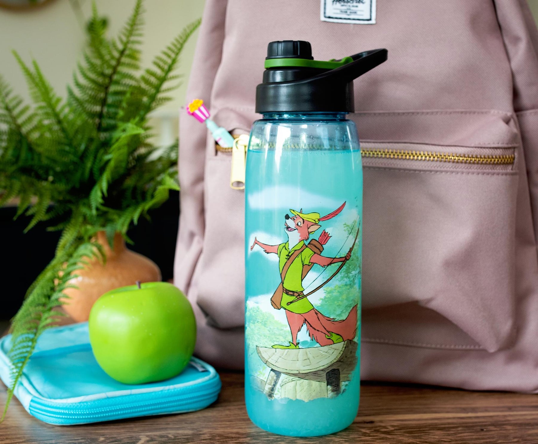 Disney Robin Hood "What A Good Day" Water Bottle with Lid | Holds 28 Ounces