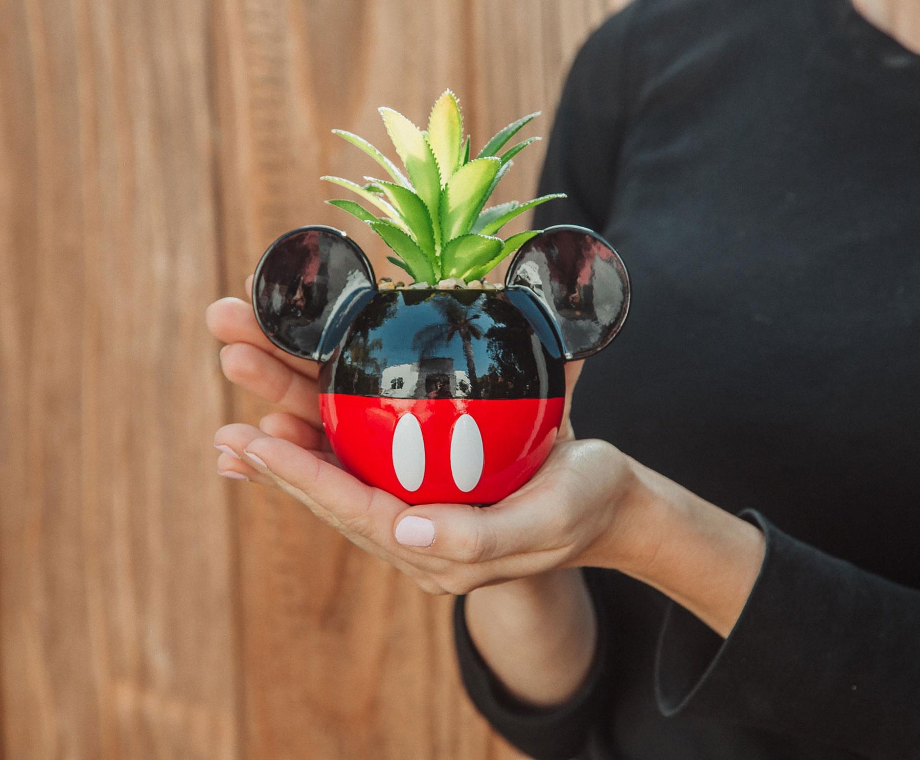 Disney Mickey Mouse 3-Inch Ceramic Mini Planter with Artificial Succulent