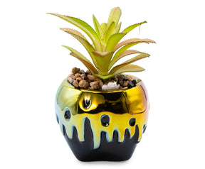 Disney Villains Poison Apple Mini Ceramic Planter with Artificial Succulent