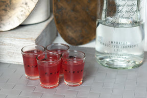 Friends Quotes 1.5oz Mini Glasses | Set of 4