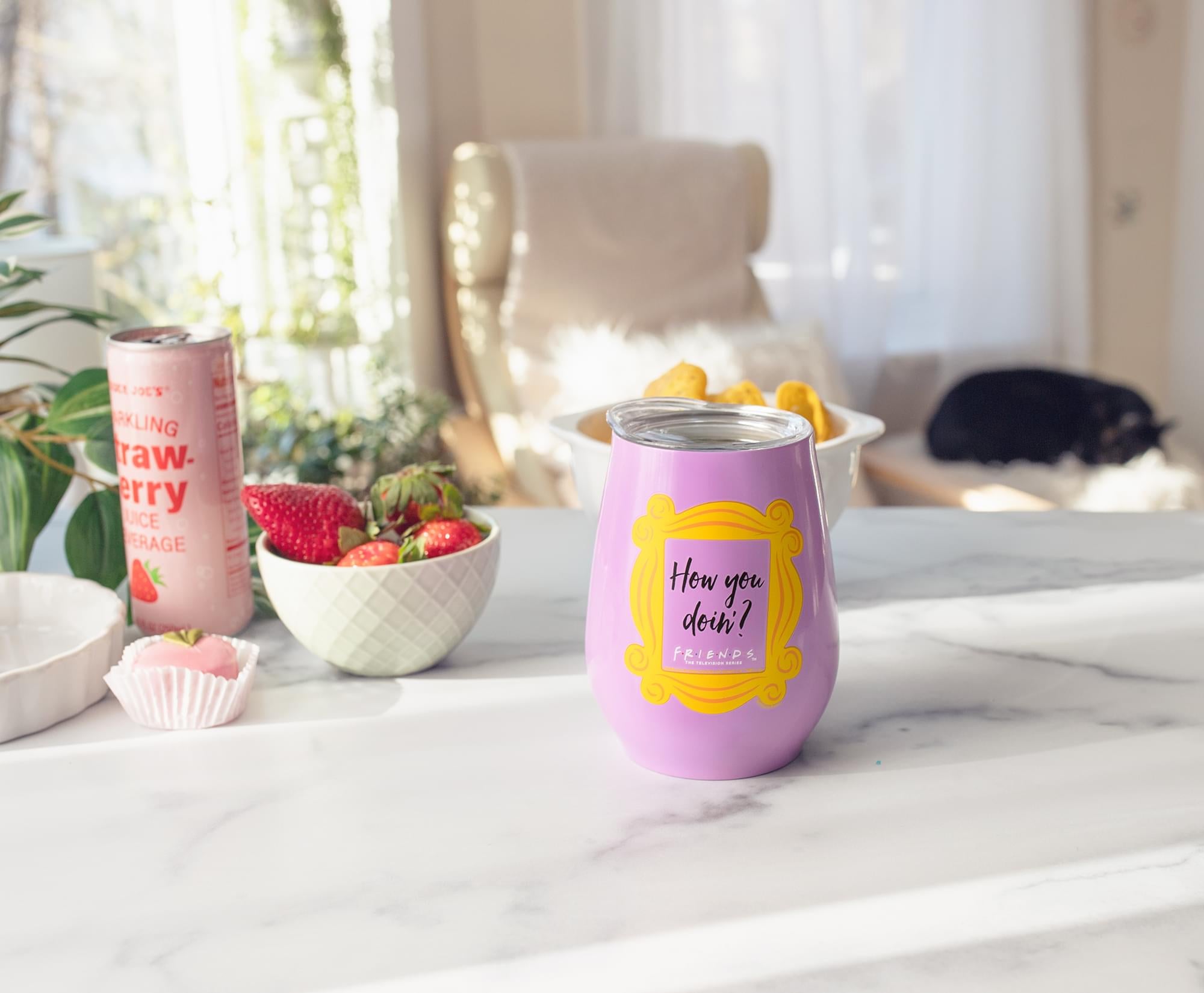 Friends "How You Doin?" Double-Walled Stainless Steel Tumbler | Holds 10 Ounces