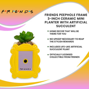 Friends Peephole Frame 3-Inch Ceramic Mini Planter with Artificial Succulent