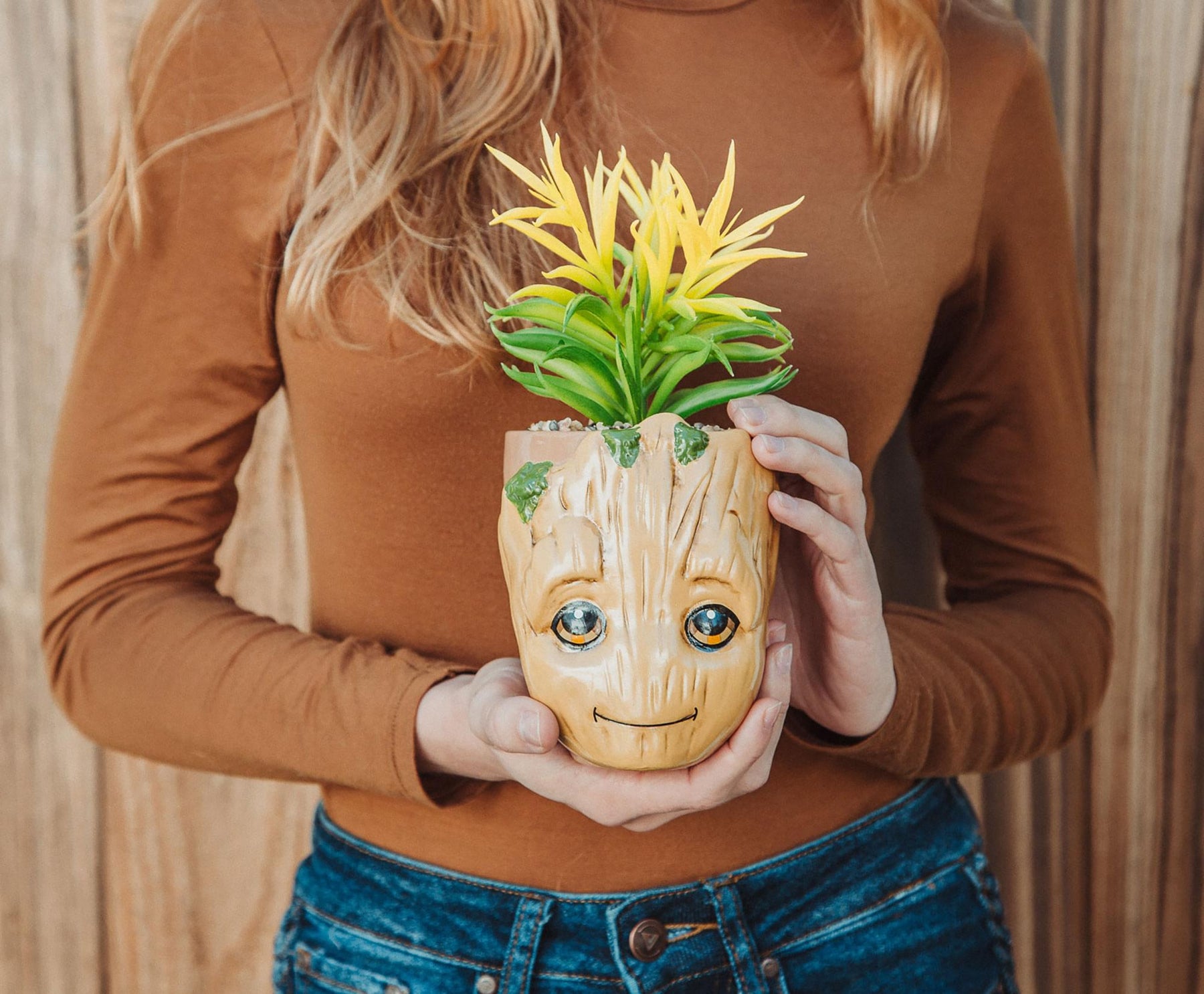 groot succulent planter Guardians of the Galaxy Ceramic Groot Planter