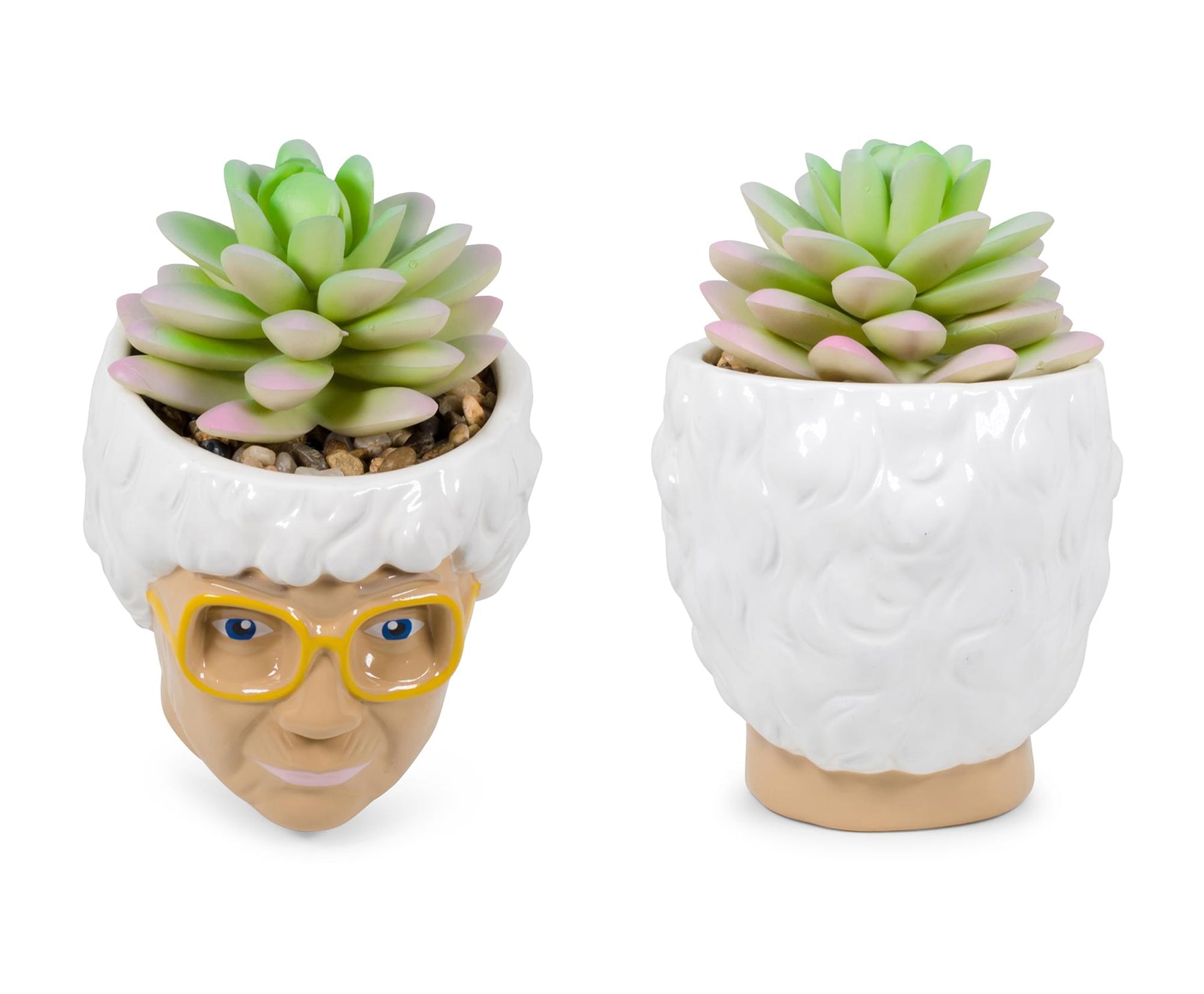 The Golden Girls Sophia Face Mini Ceramic Planter With Faux Succulent | 3 Inches