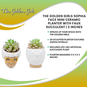The Golden Girls Sophia Face Mini Ceramic Planter With Faux Succulent | 3 Inches