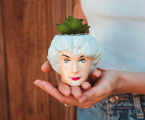 The Golden Girls Dorothy 3-Inch Ceramic Mini Planter With Artificial Succulent