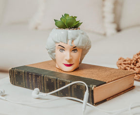 The Golden Girls Dorothy 3-Inch Ceramic Mini Planter With Artificial Succulent