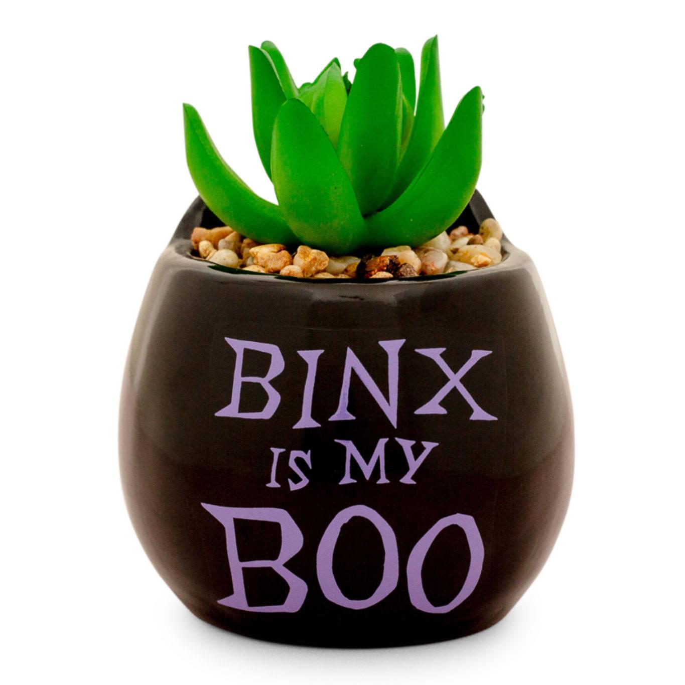 Disney Hocus Pocus "Binx Is My Boo" Ceramic Planter with Artificial Succulent