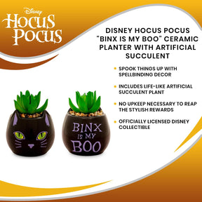 Disney Hocus Pocus "Binx Is My Boo" Ceramic Planter with Artificial Succulent