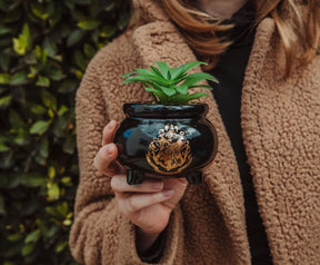 Harry Potter Hogwarts Cauldron Ceramic Mini Planter With Artificial Succulent