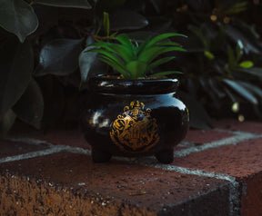 Harry Potter Hogwarts Cauldron Ceramic Mini Planter With Artificial Succulent