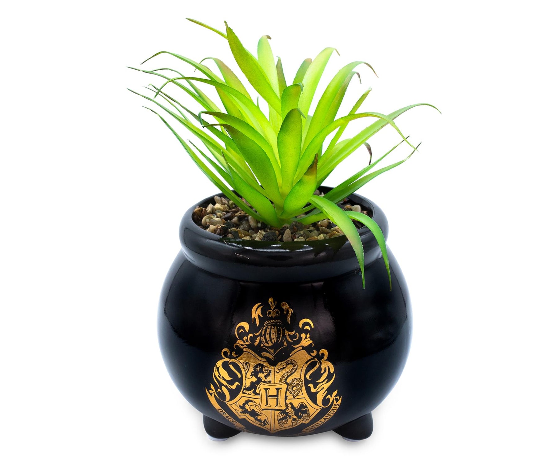Harry Potter Hogwarts Cauldron 8.25 x 4.5 x 4.5 Inch Ceramic Planter w/ Artificial Plant