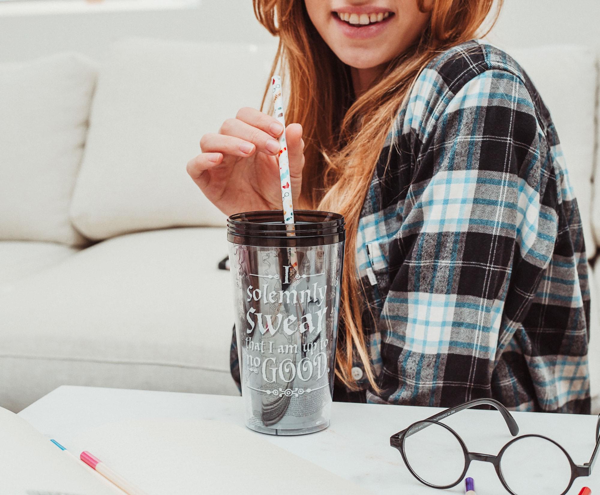 Harry Potter Icons Reusable Plastic Straws | Set of 4