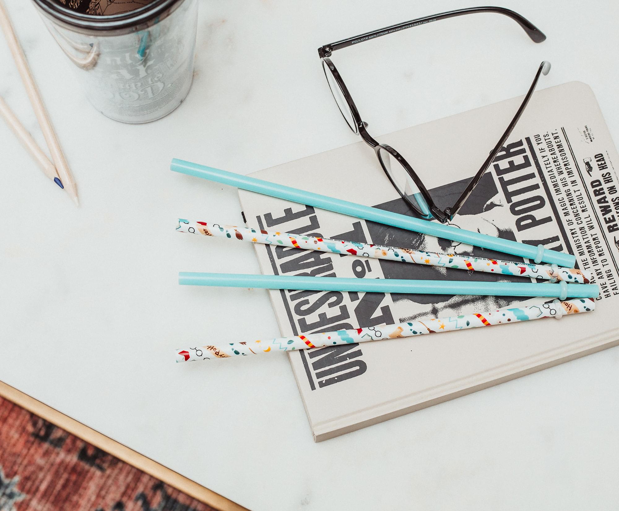 Harry Potter Icons Reusable Plastic Straws | Set of 4