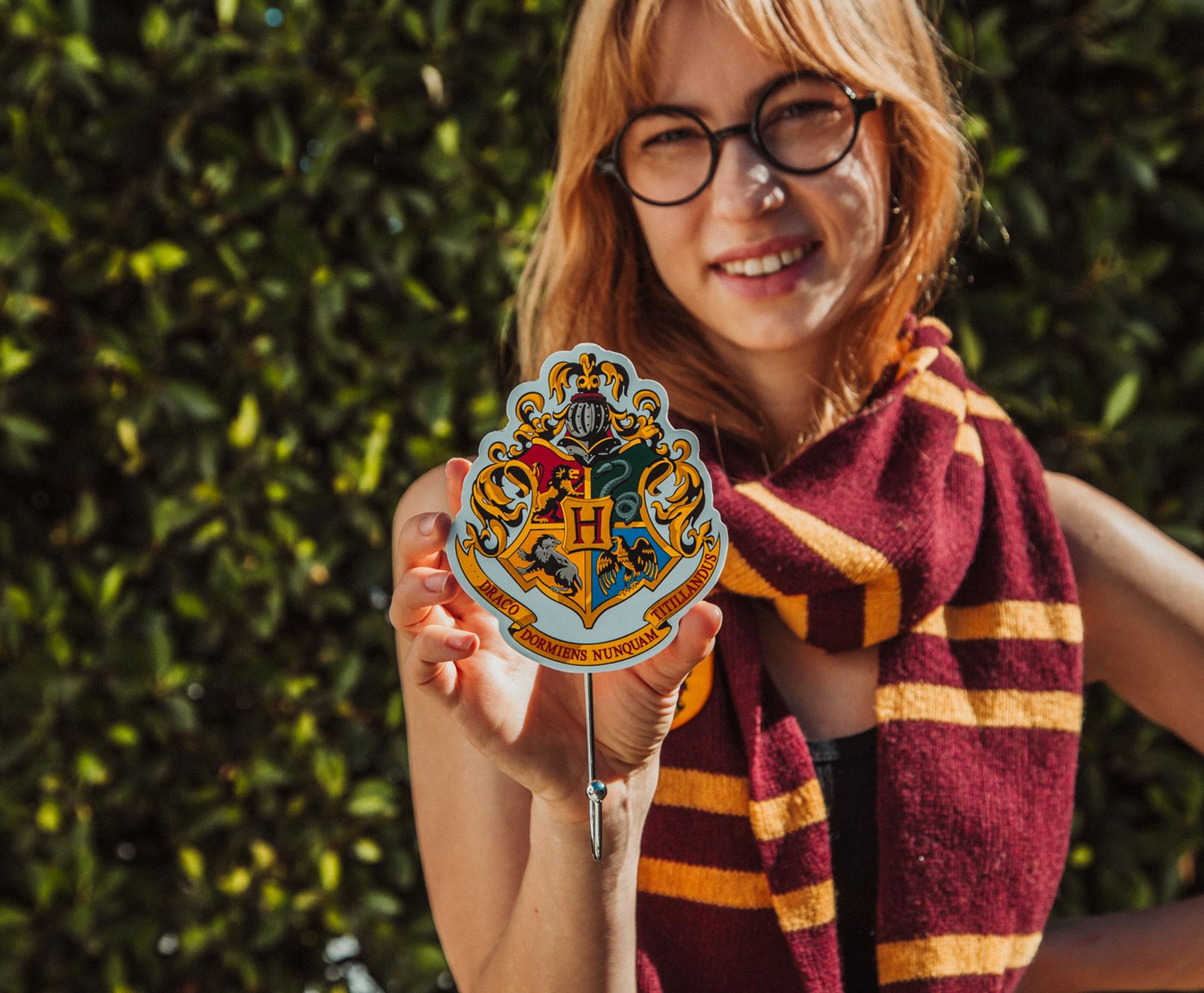 Harry Potter Icons Die-Cut Coat Hanger Wall Hooks | Set of 3