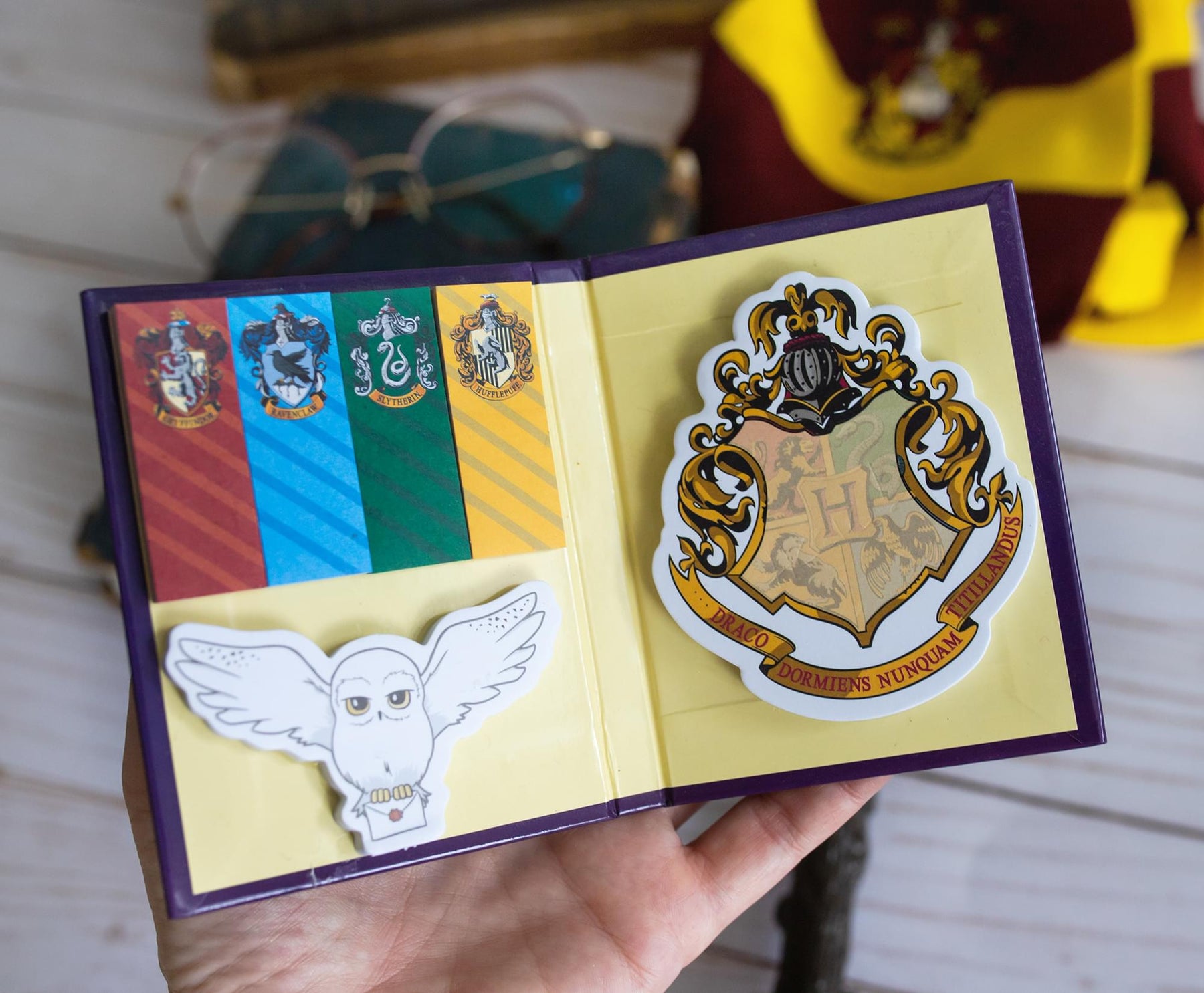 Harry Potter Hogwarts Sticky Note and Sticky Tab Box Set