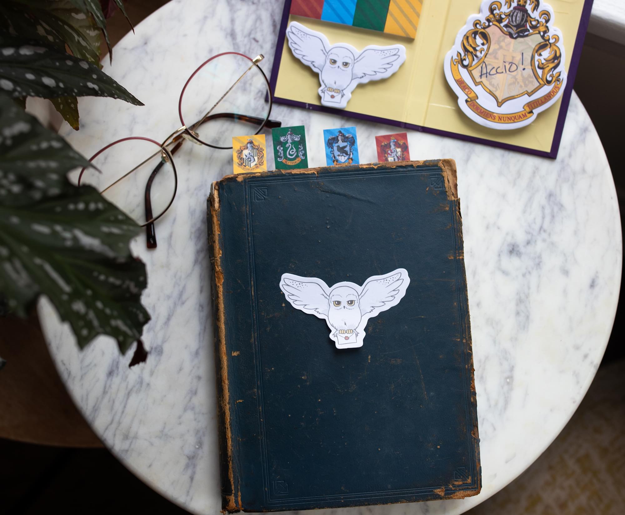 Harry Potter Hogwarts Sticky Note and Sticky Tab Box Set
