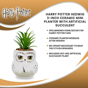 Harry Potter Hedwig 3-Inch Ceramic Mini Planter with Artificial Succulent