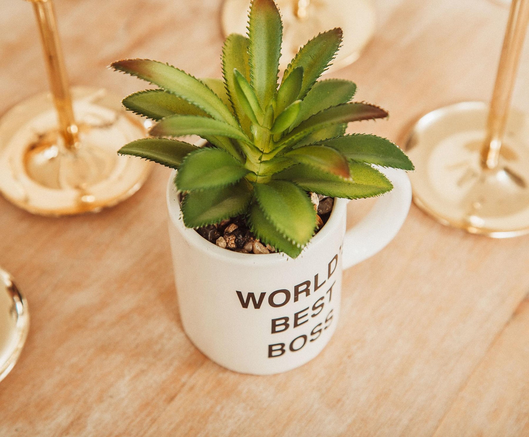 The Office "World's Best Boss" 3-Inch Ceramic Mini Planter With Artificial Succulent