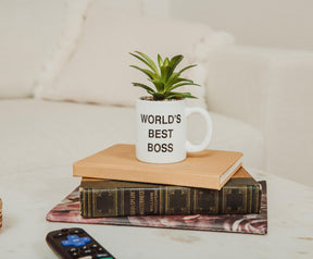 The Office "World's Best Boss" 3-Inch Ceramic Mini Planter With Artificial Succulent