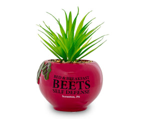 The Office Schrute Farms Rustic 8-Inch Planter With Artificial Succulent