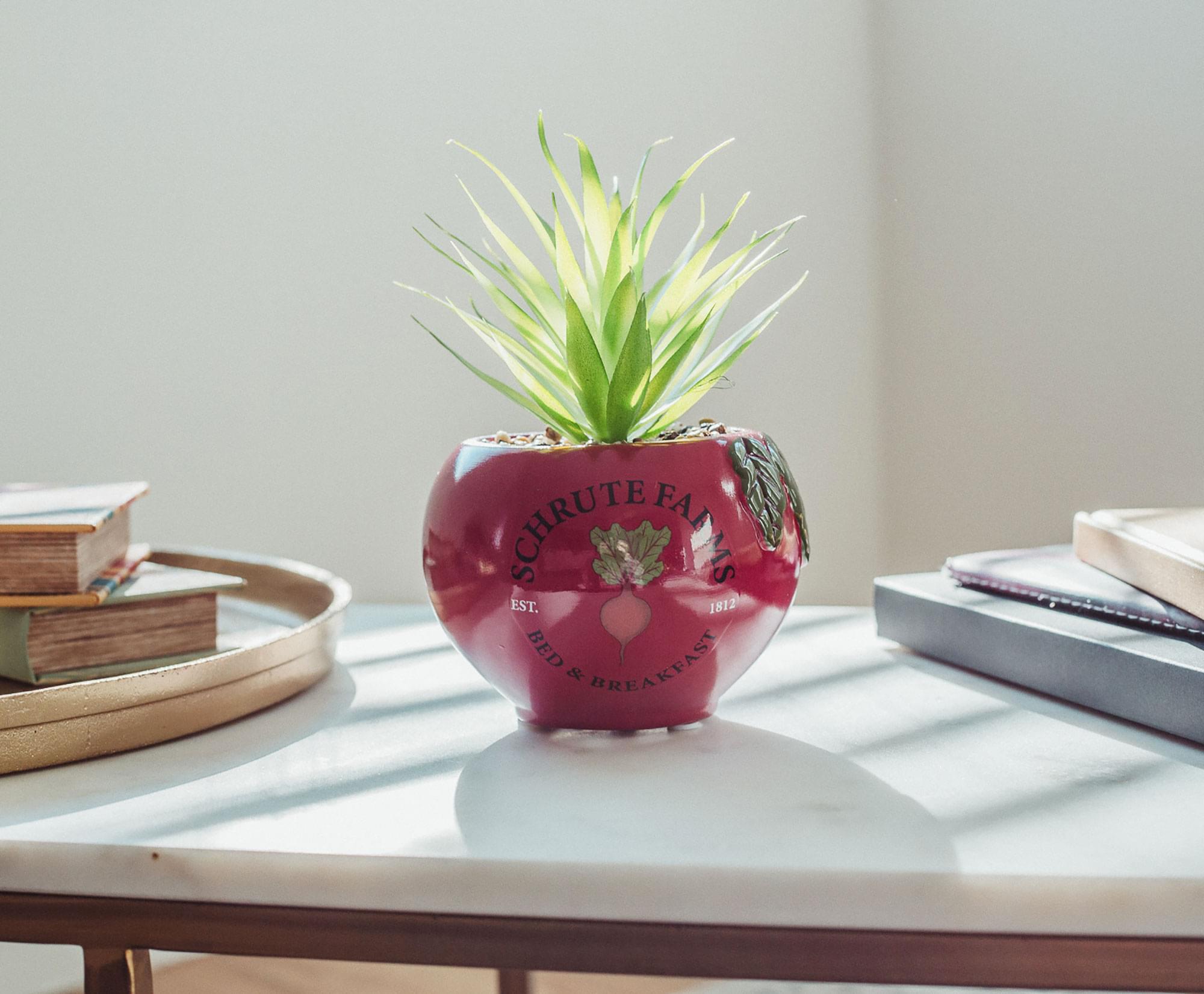 The Office Schrute Farms Rustic 8-Inch Planter With Artificial Succulent