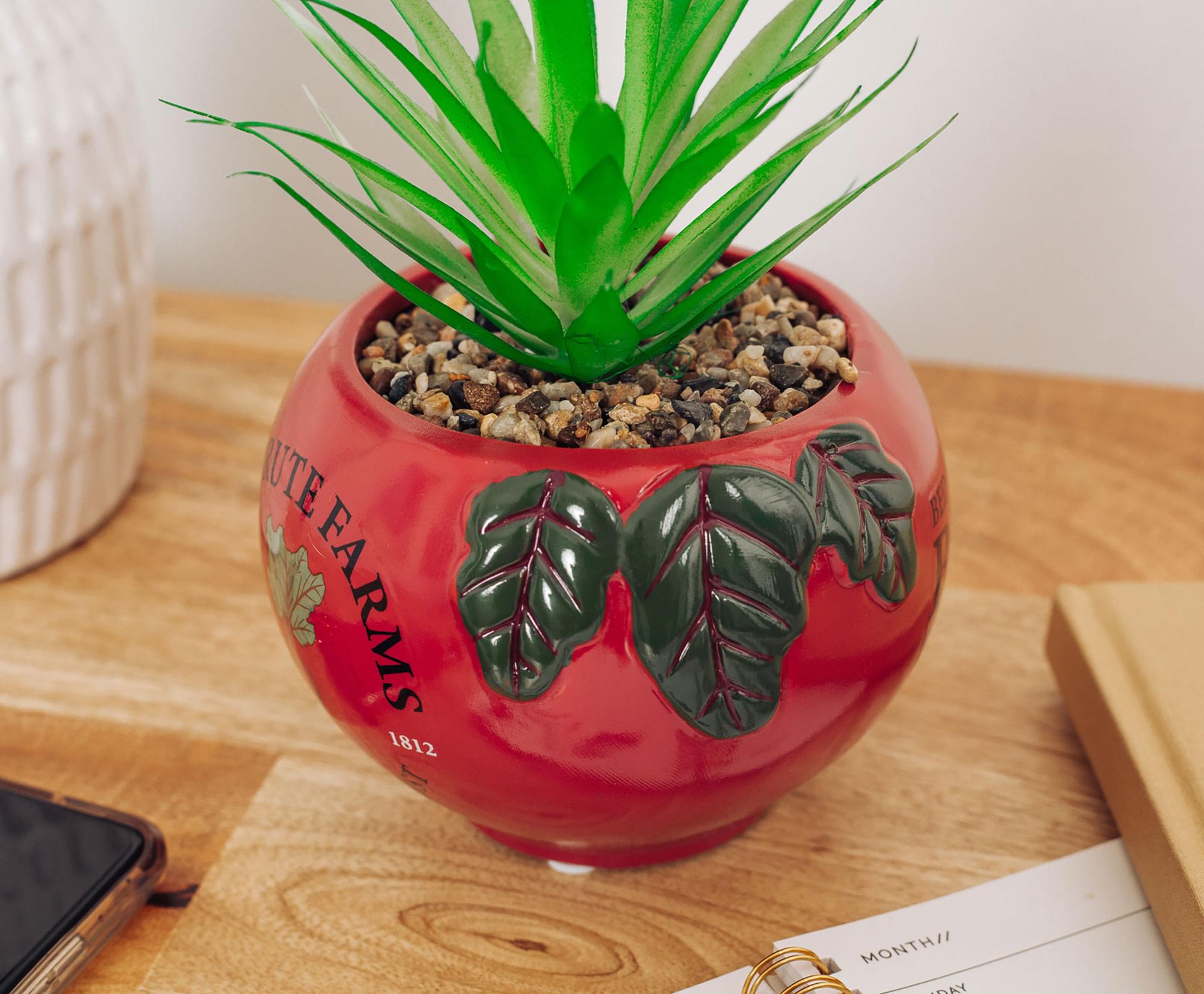 The Office Schrute Farms Rustic 8-Inch Planter With Artificial Succulent