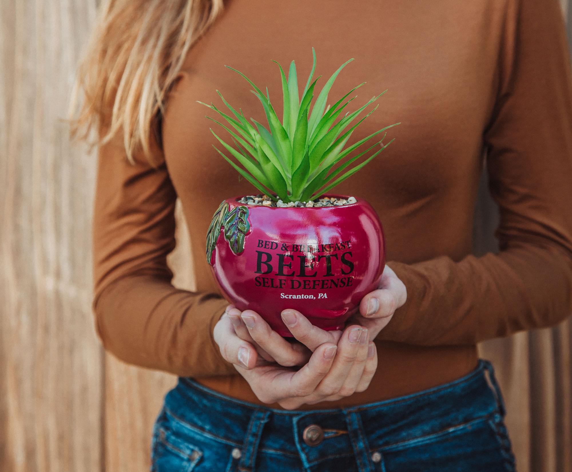 The Office Schrute Farms Rustic 8-Inch Planter With Artificial Succulent