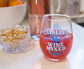 Step Brothers Catalina Wine Mixer 20 oz Drinking Stemless Wine Glass