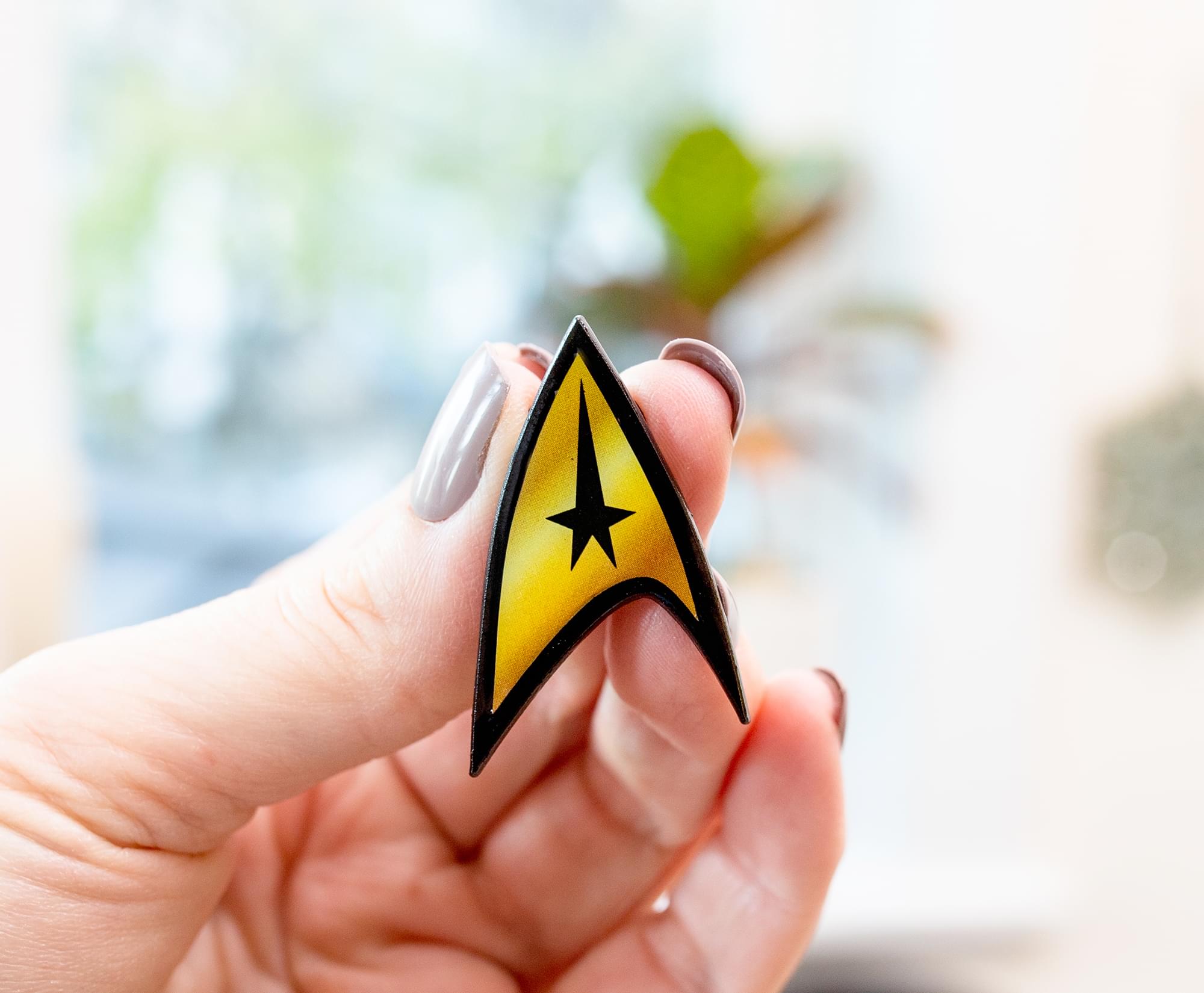 Star Trek: The Original Series Delta Starfleet Command Enamel Pin