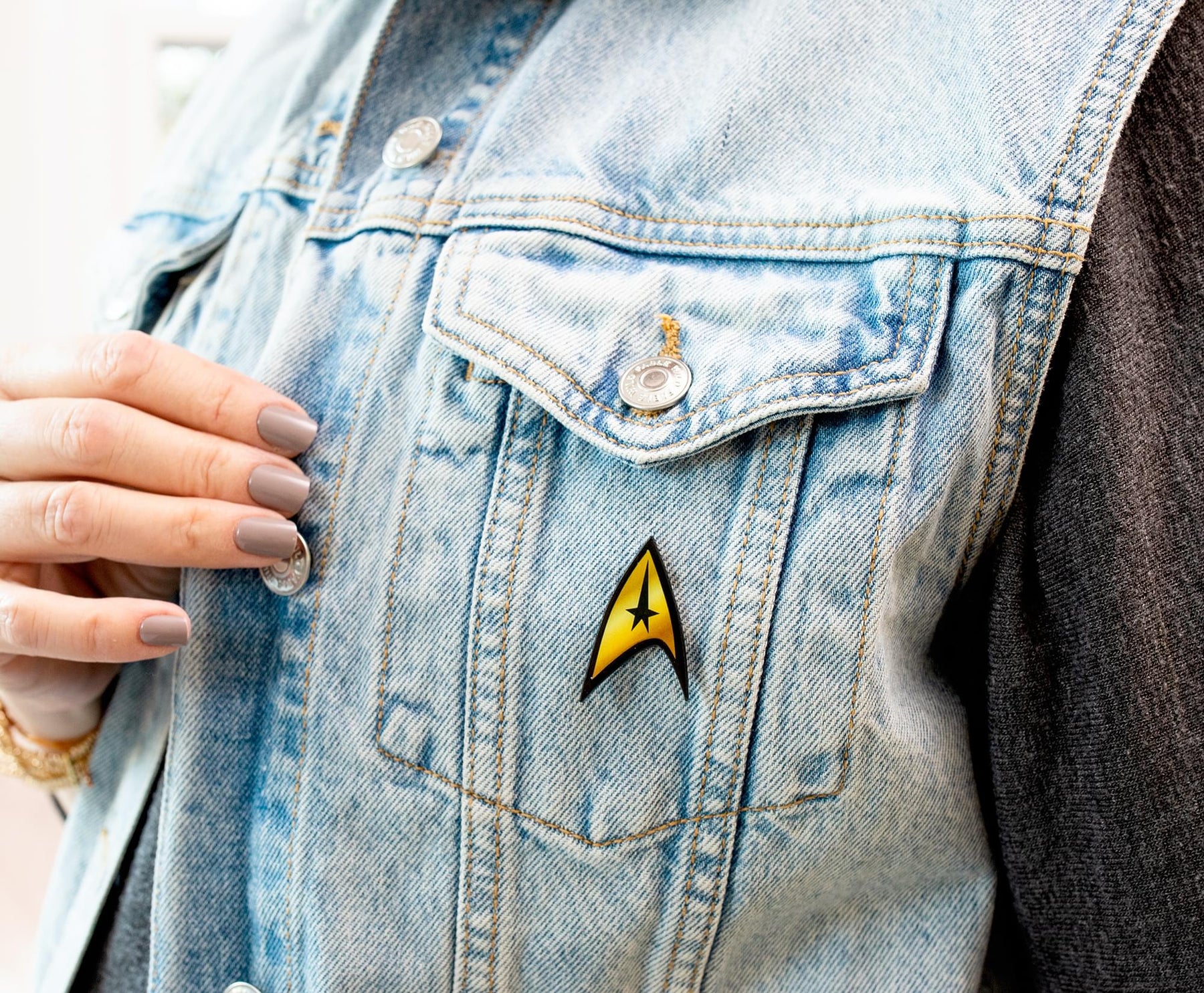 Star Trek: The Original Series Delta Starfleet Command Enamel Pin