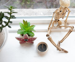 Stranger Things Demogorgon 3-Inch Ceramic Mini Planter with Artificial Succulent