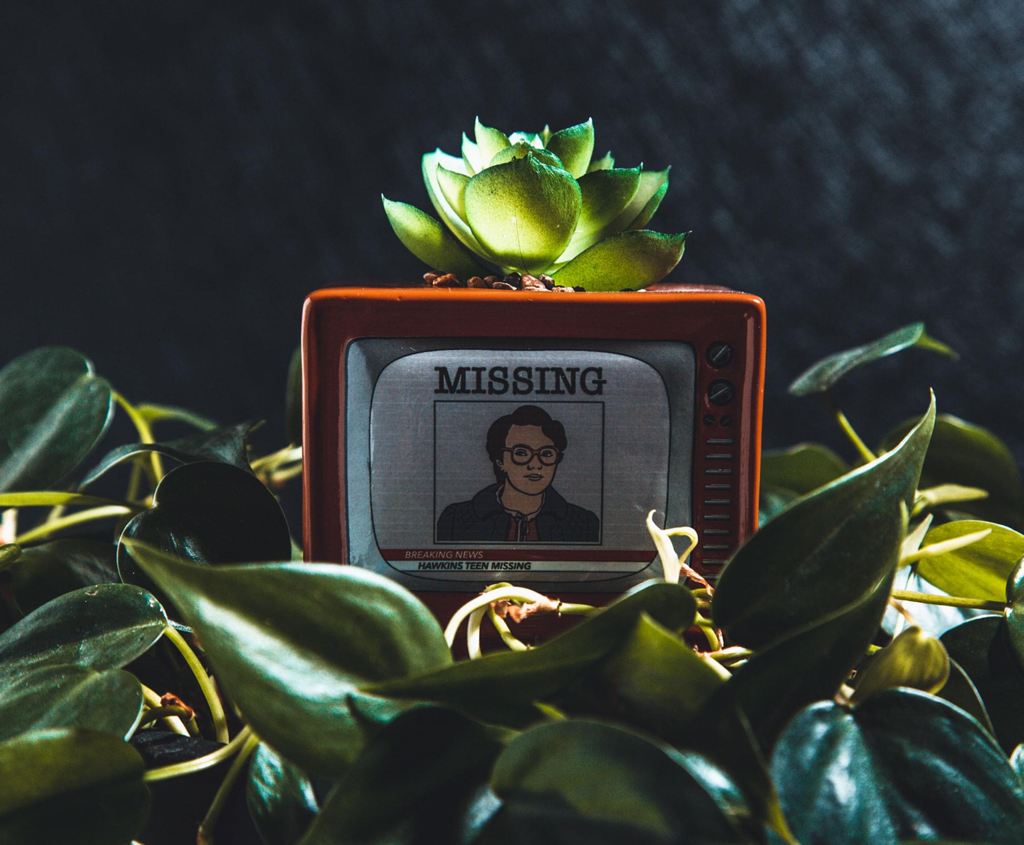 Stranger Things Missing Barb 4-Inch Ceramic Mini Planter With Artificial Succulent