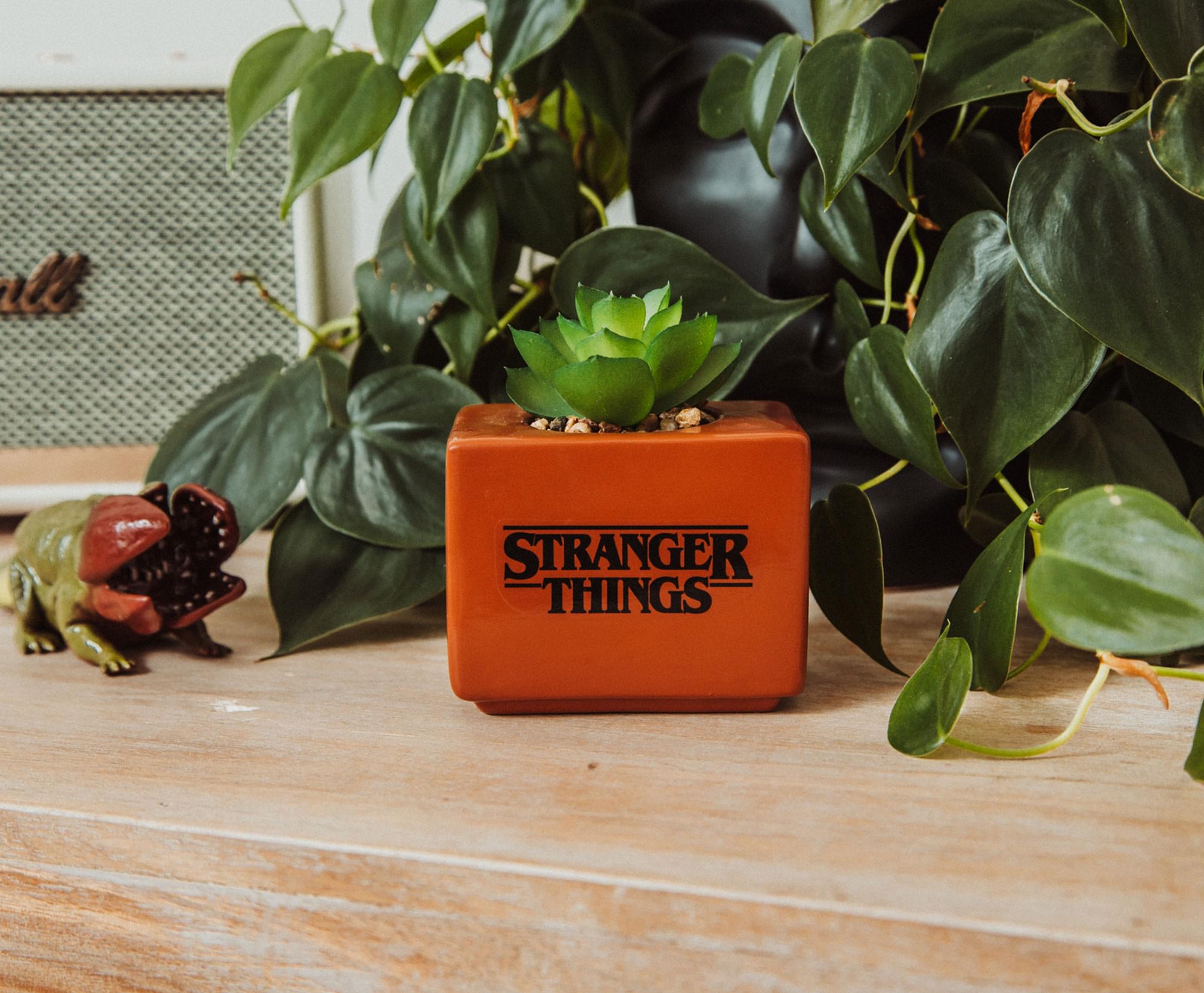 Stranger Things Missing Barb 4-Inch Ceramic Mini Planter With Artificial Succulent