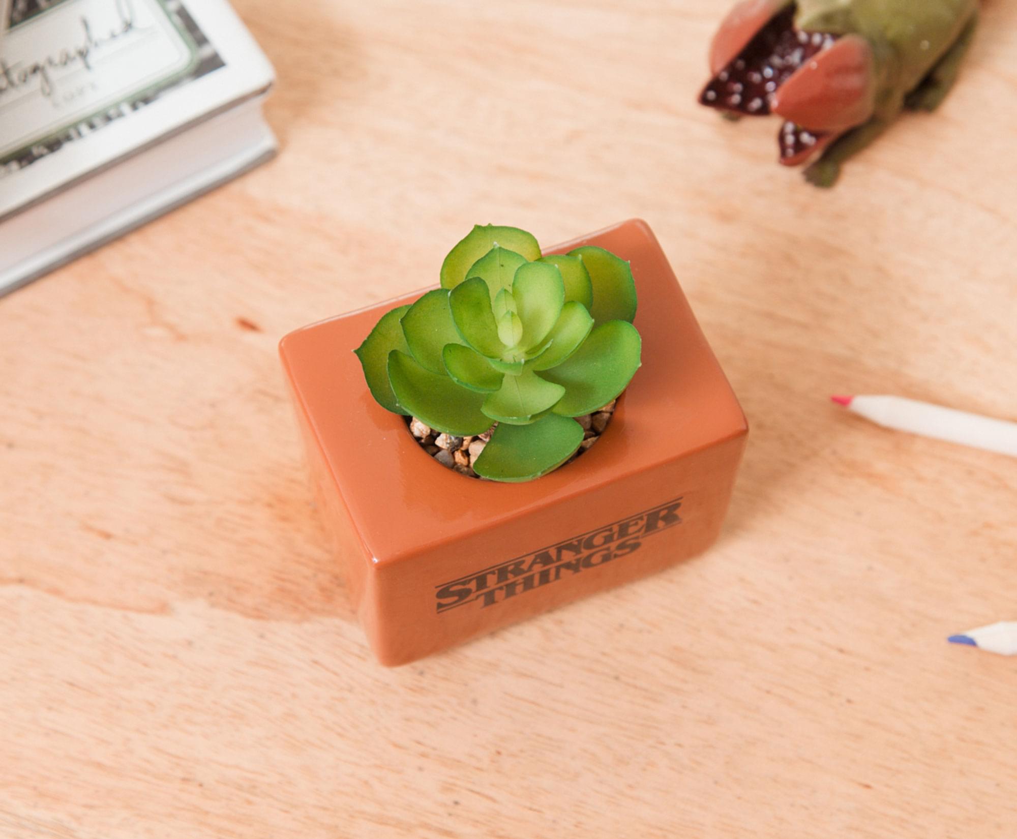 Stranger Things Missing Barb 4-Inch Ceramic Mini Planter With Artificial Succulent