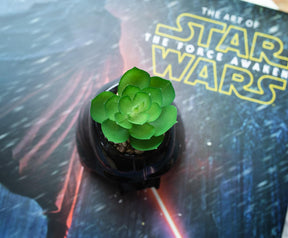 Star Wars Darth Vader 3-Inch Ceramic Mini Planter with Artificial Succulent